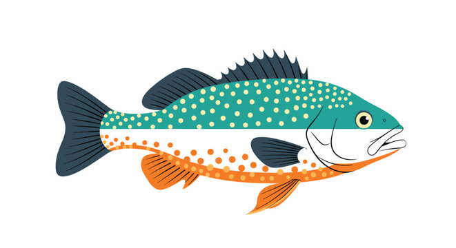 Colorful fish illustration featuring intricate teal, orange, and white scales with dark fins on a white background.