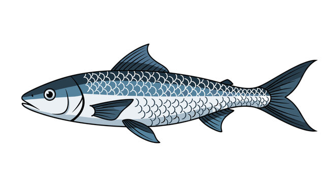 Realistic illustration of a silver fish with detailed scales and blue fins, swimming horizontally, representing marine life and seafood.