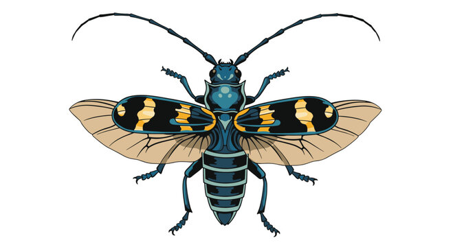 Detailed top-down illustration of a beautiful longhorn beetle with its intricate blue and yellow patterned wings fully spread for flight.