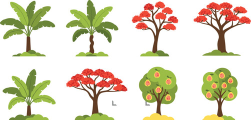 Tree Collection with Tropical Banana Trees, Flowering Trees, and Fruit Trees in Flat Vector Style, Nature and Garden Illustration Set for Landscape Design © munzuara