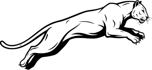 Powerful Jumping Cougar  Panther Vector Illustration. Dynamic Black  White Wild Cat Mascot in Leaping Action, Ideal for Sports Logos  Athletic Designs. © bububu