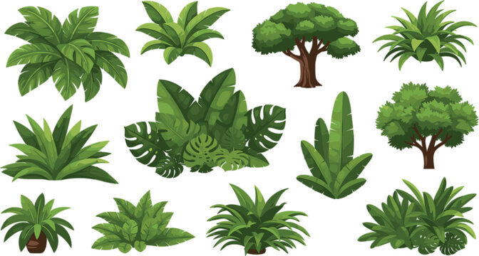 Tropical Plants and Trees Vector Set Featuring Lush Green Foliage, Palm Trees, Bushes and Garden Elements in Flat Illustration Style