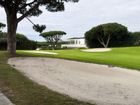 A serene golf course landscape featuring lush green grass, sand traps, palm trees, and a backdrop of mountains under a clear blue sky.