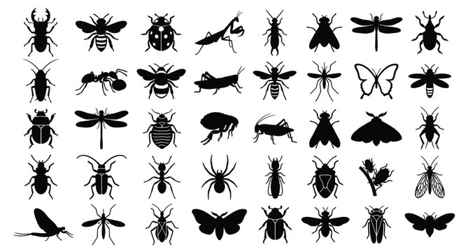A professional vector silhouette sheet featuring 40 different insects .eps