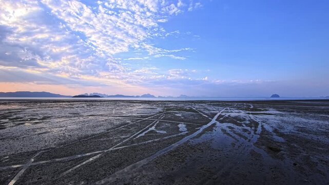 Wide tidal flat landscape with water channels and distant island horizon