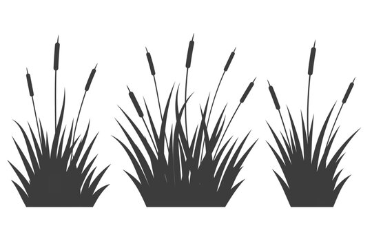 Swamp grass reed silhouettes set. Vector tall cattails. Water plants near river and lake bank isolated on white background. Bulrush high foliage flat illustrations