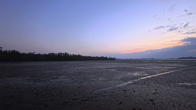 Wide coastal mudflat with distant tree line under soft sunset sky