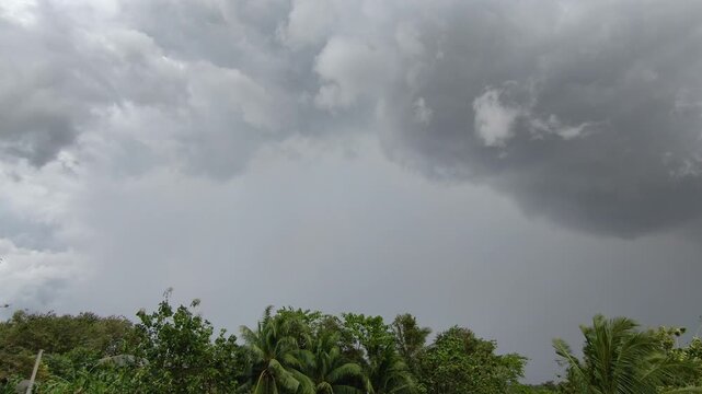 Dramatic dark clouds over green trees with sudden lightning flashes. Real-time footage of overcast sky and heavy storm clouds in tropical area