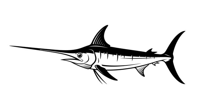 Black and white vector illustration of a swordfish isolated on white background. Stylized marlin or sailfish icon for fishing logo, seafood restaurant, or marine life design.