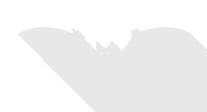 Bat silhouette with long shadow on white background