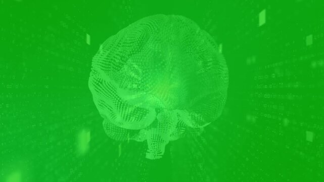 Futuristic Digital Brain with Neural Network Data Animation on Green Screen