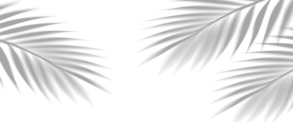 Fototapeta premium Overlay shadow effect of realistic tropical palm leaves on transparent background. Black and white coconut leaf blur shadow overlay summer decorative element design. Vector illustration.