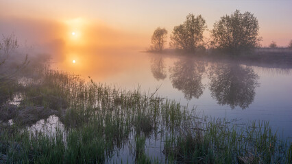 A serene, misty sunrise over a calm river with glowing orange light and soft tree reflections. © Александр Арендарь