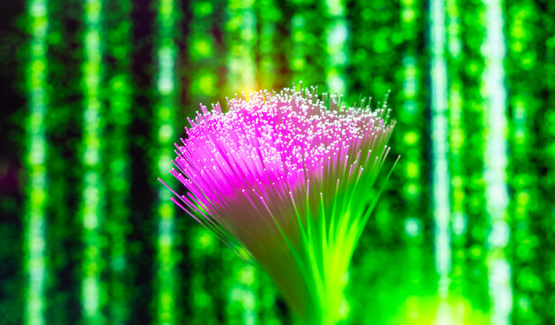 green and purple Fiber optics network cable on technology background