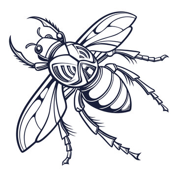 Stylized flying bee or hornet illustration featuring intricate wing patterns and segmented body for nature inspired graphic design wildlife pollination arthropod illustration monochrome detailed