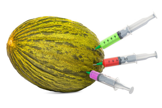 Charentais melon with a syringes full of chemicals. Genetic Food Modification concept, white background.