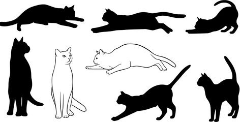 Set of vector cat illustrations: black silhouettes and white line art of felines in various poses like sitting, stretching, and lying on white background. © hugo