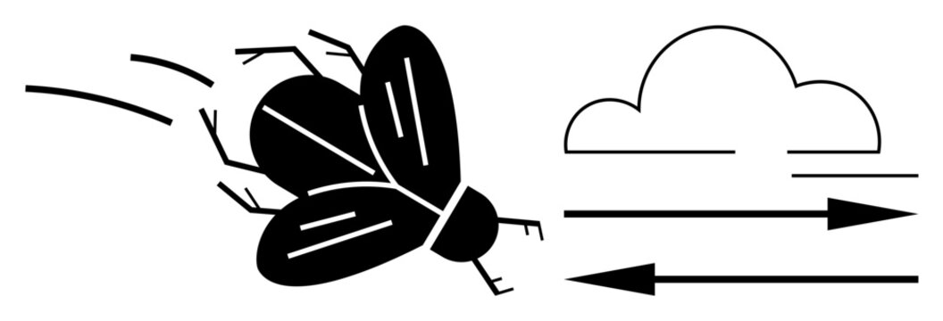 Environmental conditions, insect flight, weather patterns, aerodynamics, motion dynamics, nature study. A black silhouette of a flying insect with wind arrows and cloud. Insect flight