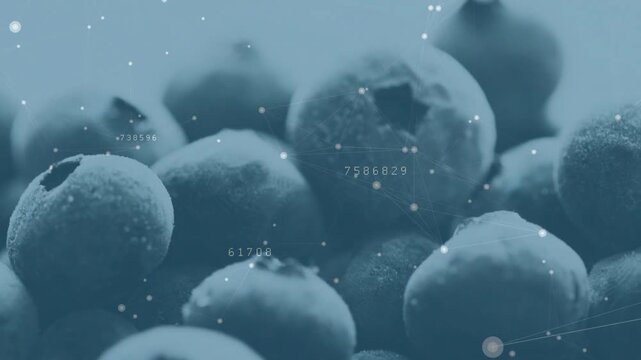 Focus shifting from frosted blueberry, camera panning right, data nodes moving, revealing textures
