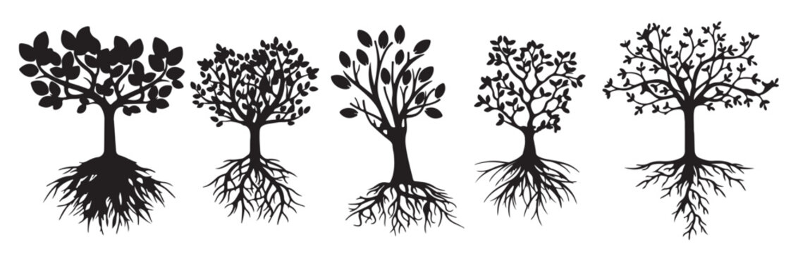 forest silhouettes of wonderful long roots tree collection vector illustration