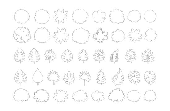 Minimalist landscape architecture symbols, 40 outline tree and leaf icons for site plans, thin line botanical vector elements for masterplan design
