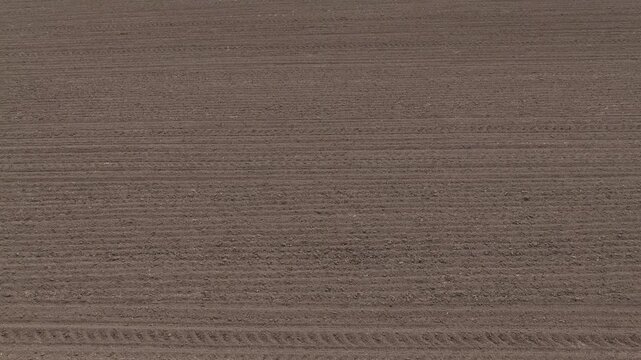 Drone flying backward low over a freshly plowed brown agricultural field and vibrant green young wheat crops, top down, 4K, generous copy space and a natural banner for text or graphics