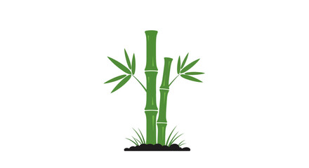 Obraz premium Bamboo plant with green stems.