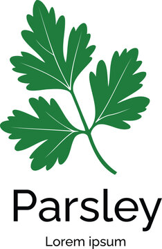 Green parsley leaf with text label and lorem ipsum placeholder on white background