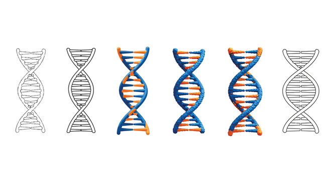 A sequence depicting the gradual colorization of a dna double helix model from grayscale to vibrant hues