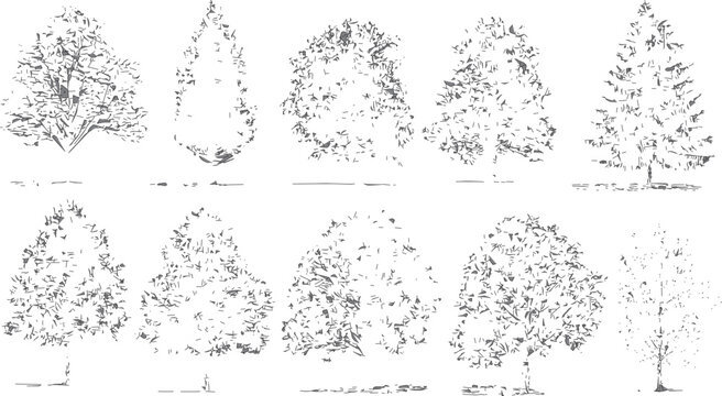 Grunge tree illustration with dot pattern shading Urban forest artwork with brutalist halftone style