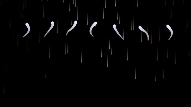 Black White Particle Spiral with Neon Light Trails, Accelerating Diagonal Abstract Motion Loop, 2K Seamless Video Background for Creative Design v20260501112709