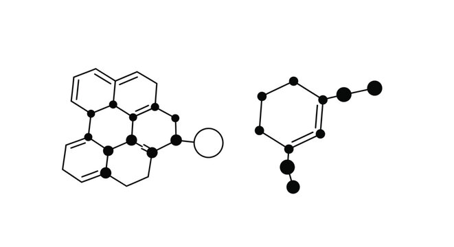 Two distinct chemical structures are depicted in a black and white line drawing showcasing molecular arrangements