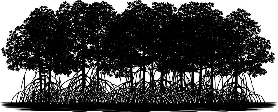 Dense mangrove forest silhouette with aerial root systems