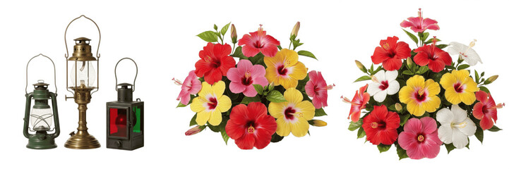 Tropical Pink Hibiscus Flower PNG, Exotic Hawaiian Bloom Isolated on Transparent Background, Summer Beach Vacation Floral Design. © laskhar