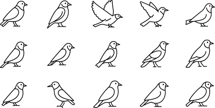 Black and white line of various bird poses, 15 birds on white background, line white background, flying bird