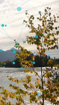 Vertical video: Wind causing tree leaves waving river glinting turquoise dots moving showing autumn