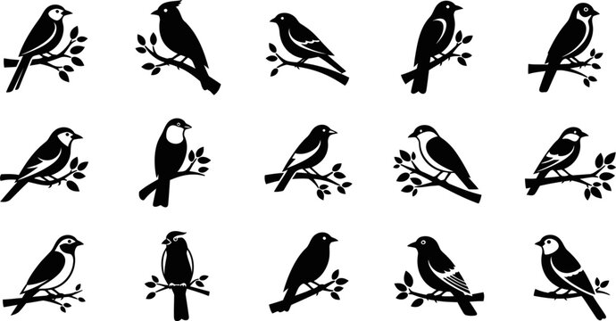 Small songbird collection perched on leafy branches for nature and wildlife themes eps.