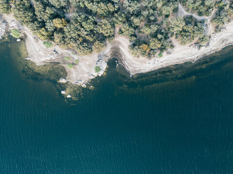 Valmayor reservoir shoreline with forest and blue water in Madrid