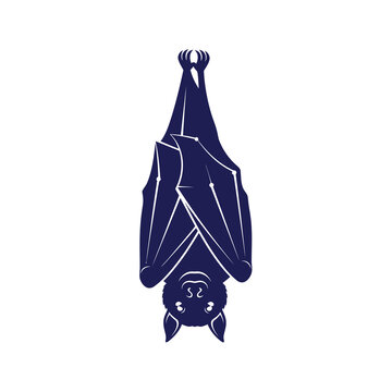 Stylized dark blue bat illustration hanging upside down with folded wings, isolated on a white background, featuring geometric line patterns and celestial details on the wing surface.