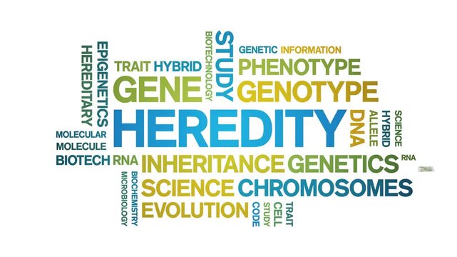 Heredity animated word cloud-text design animation tag kinetic typography seamless loop.