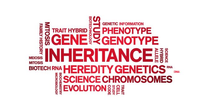 inheritance animated word cloud-text design animation tag kinetic typography seamless loop.