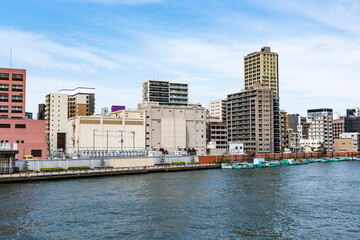 Fototapeta premium 隅田川テラスからの風景