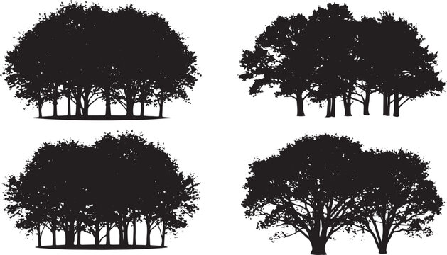 Silhouetted Forest Vignettes: A collection of four artistic renderings showcases the majestic forms of trees in a dark silhouette against a backdrop of understated elegance. 