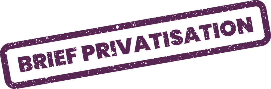 Distressed rectangular rubber stamp showing the text brief privatisation for economic policy discussions