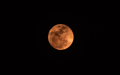Fototapeta premium The full moon in May is known as the Flower Moon, marking the peak of spring with abundant blooming flowers. It is known as Buddha Purnima or Vesak, a sacred day in Buddhism commemorating the birth.