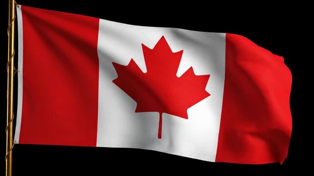 Waving canadian flag on flagpole with black background canada maple leaf red white canada maple leaf red white