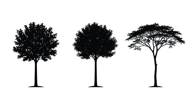 Black Silhouette Illustration of Three Distinct Trees with Varied Canopy Shapes on White Background