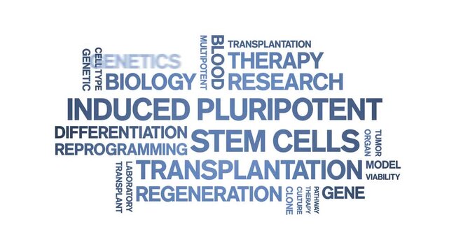 induced Pluripotent Stem Cells animated word cloud-text design animation tag kinetic typography seamless loop.