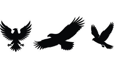 Fototapeta premium Flying eagle silhouettes set isolated on white background birds of prey vector illustration collection