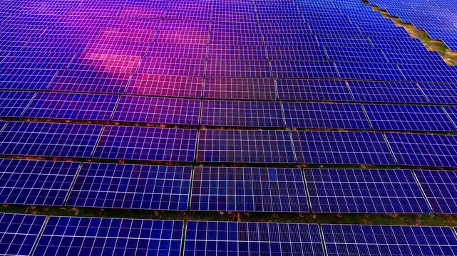 Dense installation of dark blue solar photovoltaic panels. Purple grid of photovoltaic panels aerial view.
